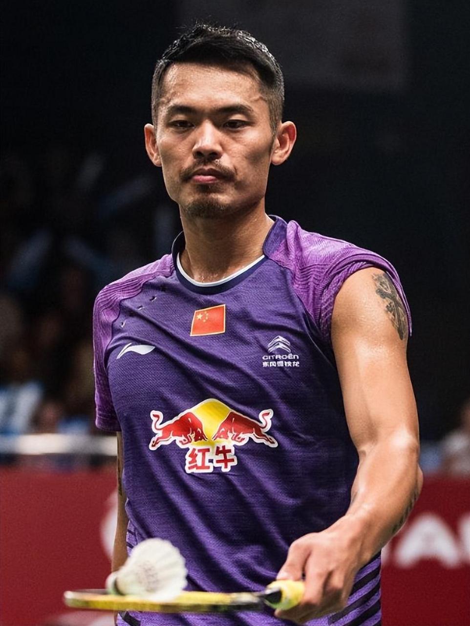 印尼羽毛球队鏖战泰国羽毛球队，陶菲克惊艳世界的简单介绍