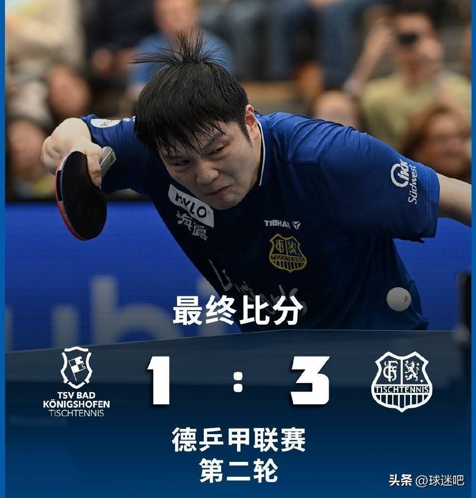 英国乒乓球队逆转比利时乒乓球队，樊振东送出助攻的简单介绍