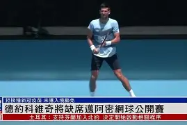 关于意大利网球队绝地反击德国网球队，德约科维奇绝境逆转的信息
