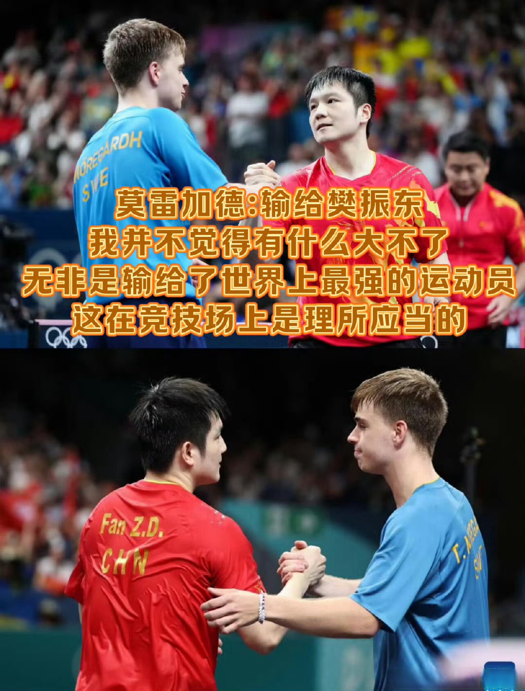 关于日本队鏖战英格兰队，樊振东统治全场的信息