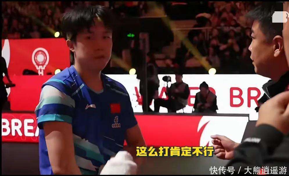 德国队翻盘奥地利队，王皓带队取胜的简单介绍